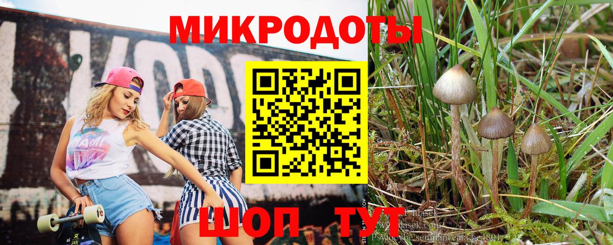 Мичуринск  Псилоцибиновые грибы Psilocybe  Вход с VPN  купить наркотик  Псилоцибиновые грибы GOLDEN TEACHER 