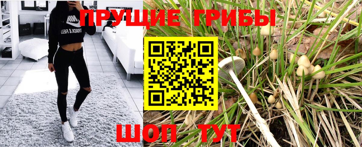 Галлюциногенные грибы мухоморы Мичуринск